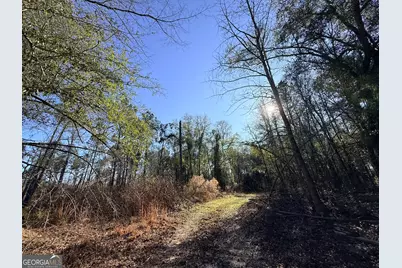 4 Sun Hill Grange Road, Davisboro, GA 31018 - Photo 16