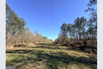 4 Sun Hill Grange Road, Davisboro, GA 31018 - Photo 8