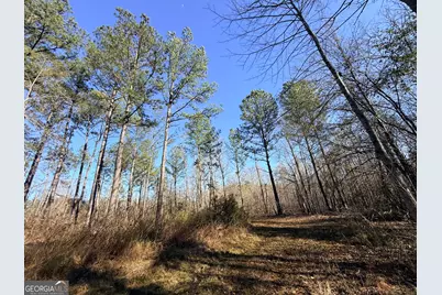 4 Sun Hill Grange Road, Davisboro, GA 31018 - Photo 6