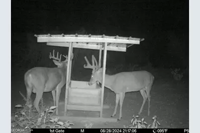 0 Charles Street, Vienna, GA 31092 - Photo 16