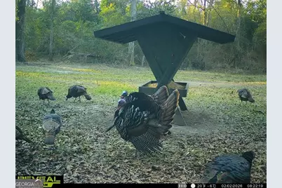 0 Charles Street, Vienna, GA 31092 - Photo 1