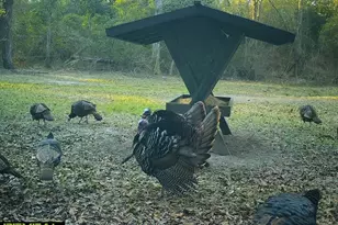 0 Charles St, Vienna, GA 31092 - Photo 1