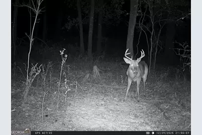 0 Charles Street, Vienna, GA 31092 - Photo 6