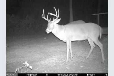 0 Charles Street, Vienna, GA 31092 - Photo 10