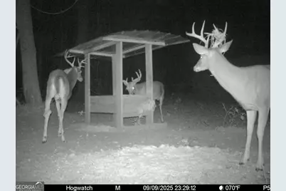 0 Charles Street, Vienna, GA 31092 - Photo 12