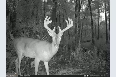 0 Charles Street, Vienna, GA 31092 - Photo 14