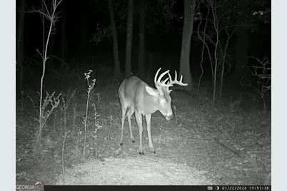 0 Charles Street, Vienna, GA 31092 - Photo 4