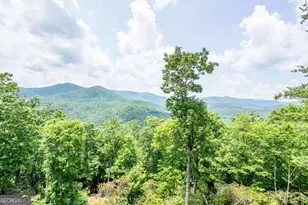 670 Brittney Dr, Blue Ridge, GA 30513 - Photo 24