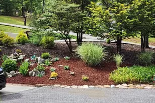 159 Apple Blossom Rd, Blairsville, GA 30512 - Photo 42