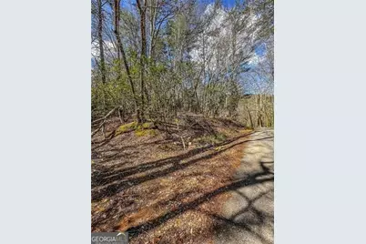 0 Ts Jarrard Road, Dahlonega, GA 30533 - Photo 14