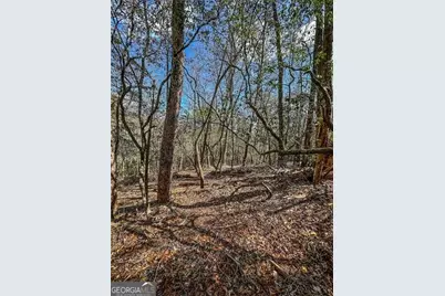 0 Ts Jarrard Road, Dahlonega, GA 30533 - Photo 4
