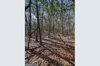 0 Ts Jarrard Road, Dahlonega, GA 30533 - Photo 30