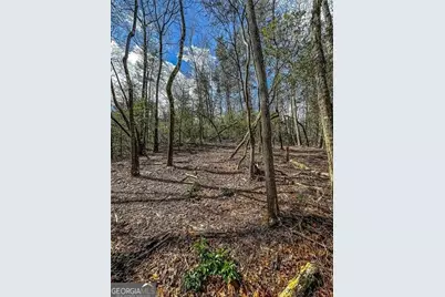 0 Ts Jarrard Road, Dahlonega, GA 30533 - Photo 20