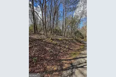 0 Ts Jarrard Road, Dahlonega, GA 30533 - Photo 12
