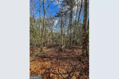0 Ts Jarrard Road, Dahlonega, GA 30533 - Photo 24