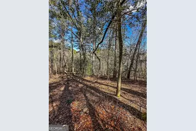 0 Ts Jarrard Road, Dahlonega, GA 30533 - Photo 40