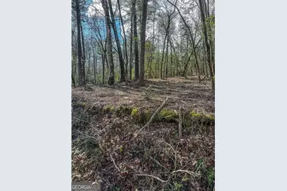 0 Ts Jarrard Road, Dahlonega, GA 30533 - Photo 8