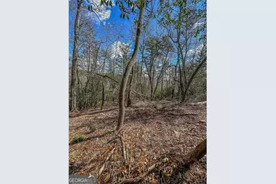 0 Ts Jarrard Road, Dahlonega, GA 30533 - Photo 22