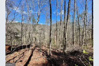 0 Bridge Creek Road, Tiger, GA 30576 - Photo 1