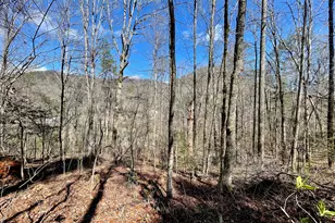 0 Bridge Creek Rd, Tiger, GA 30576 - Photo 1