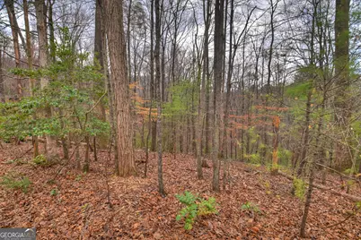 0 Ridge View Court, Ellijay, GA 30536 - Photo 6