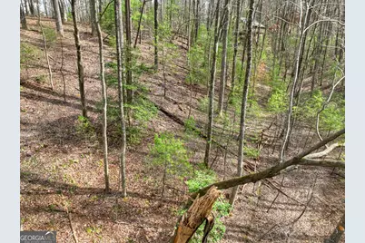 0 Ridge View Court, Ellijay, GA 30536 - Photo 8