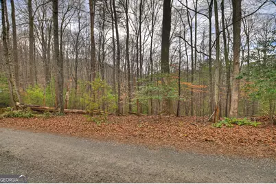 0 Ridge View Court, Ellijay, GA 30536 - Photo 4