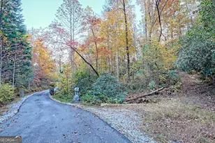 9406 Bridge Creek Rd, Tiger, GA 30576 - Photo 94