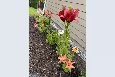 335 Northshore Drive, Blairsville, GA 30512 - Photo 72