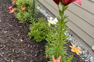 335 Northshore Dr, Blairsville, GA 30512 - Photo 72