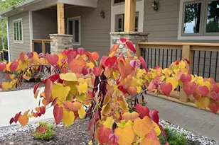 335 Northshore Dr, Blairsville, GA 30512 - Photo 10