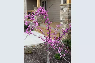 335 Northshore Drive, Blairsville, GA 30512 - Photo 74