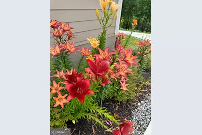 335 Northshore Drive, Blairsville, GA 30512 - Photo 78