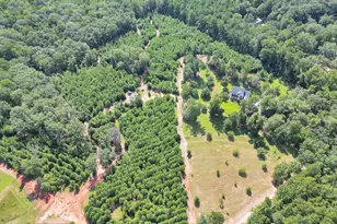 153 Highland Cir, Flovilla, GA 30216 - Photo 44