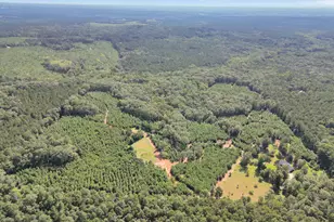 153 Highland Cir, Flovilla, GA 30216 - Photo 32