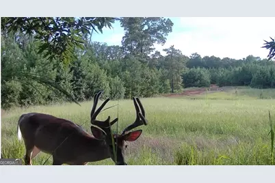 153 Highland Circle, Flovilla, GA 30216 - Photo 42