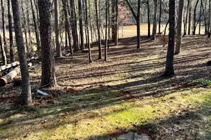 78 Greenock Cove, Toccoa, GA 30577 - Photo 24