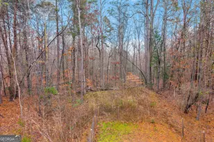 473 Chandler Pl Dr, Lavonia, GA 30553 - Photo 8