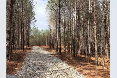 91 Pioneer Trail #LOT 27, Hogansville, GA 30230 - Photo 4