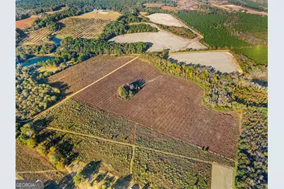 0 Waters Lane #LOT 3, Claxton, GA 30417 - Photo 6