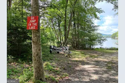 184 Whisper Cove, Blairsville, GA 30512 - Photo 4