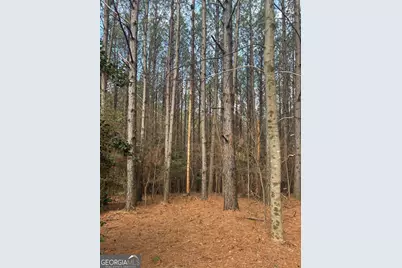 26 Foxpaw Leaf Lane, Ellijay, GA 30536 - Photo 2