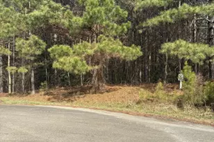 26 Fox Paw Leaf Ln, Ellijay, GA 30536 - Photo 1