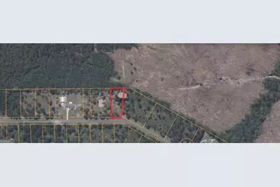 0 Big Horse Drive #84, Waynesville, GA 31566 - Photo 4