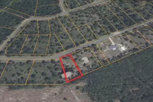 0 Big Horse Dr, Waynesville, GA 31566 - Photo 1