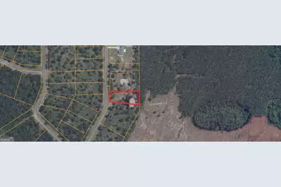 0 Big Horse Drive #84, Waynesville, GA 31566 - Photo 2