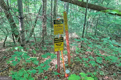 1068 Coleman River Road, Clayton, GA 30525 - Photo 4