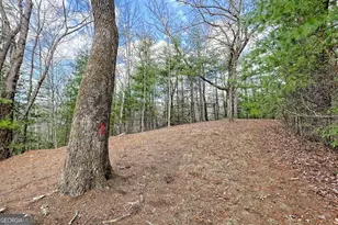 1068 Coleman River Rd, Clayton, GA 30525 - Photo 68