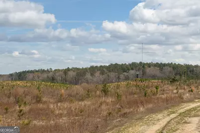 3 Laurel Branch Road, Gordon, GA 31031 - Photo 38