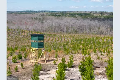 3 Laurel Branch Road, Gordon, GA 31031 - Photo 22